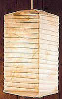 BOTANIC Skeleton Leaves Hako Lantern