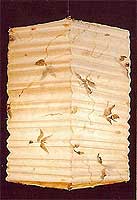 BOTANIC Leaves Petals Hako Lantern