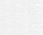 Japanese Shoji Paper